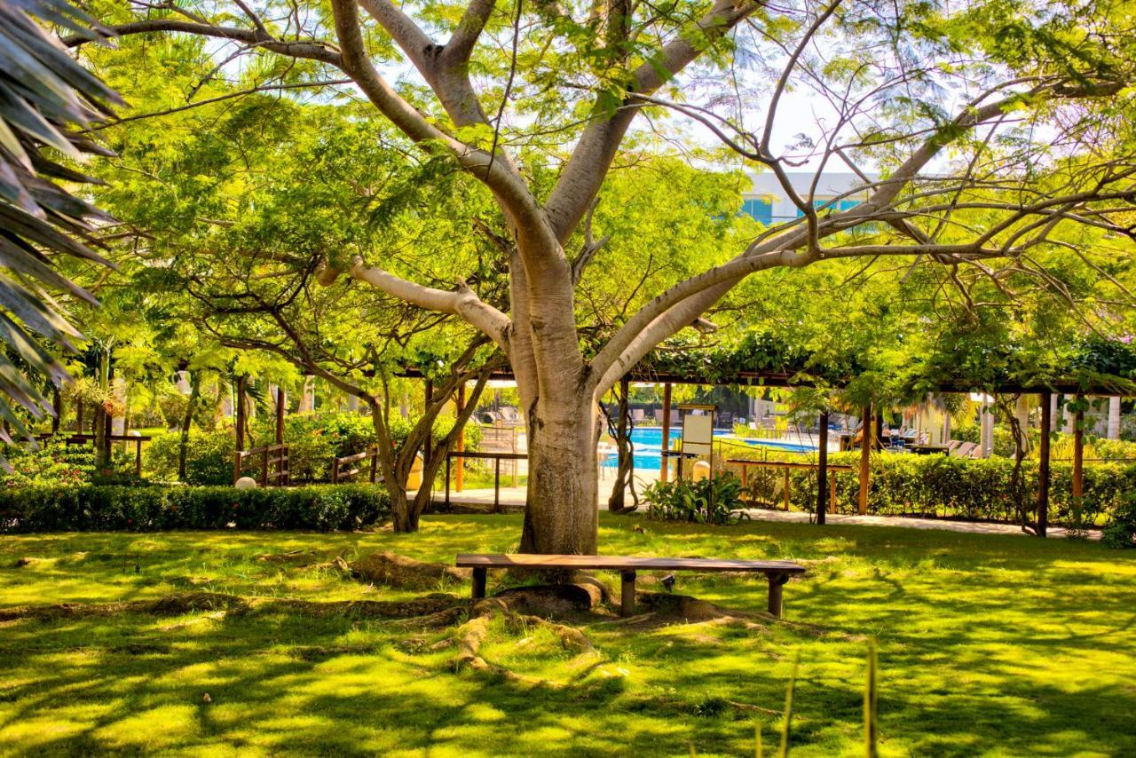 Estelar Playa Manzanillo - Hotel 5*